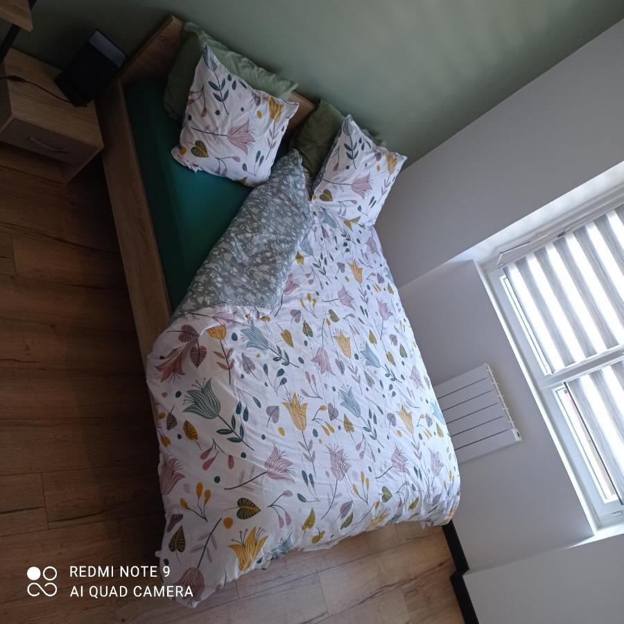 Maisonnette Tout Confort Parking Prive 브레스트 외부 사진